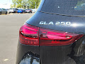 2025 Mercedes-Benz GLA GLA 250