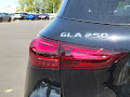 2025 Mercedes-Benz GLA GLA 250