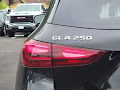 2025 Mercedes-Benz GLA GLA 250