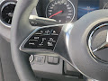2025 Mercedes-Benz Sprinter 2500 Crew 170 WB