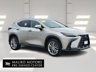 2023 Lexus NX