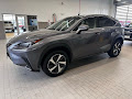 2019 Lexus NX