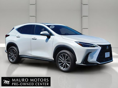 2024 Lexus NX