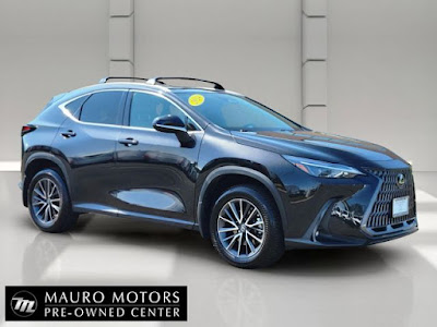 2024 Lexus NX