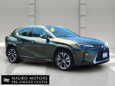 2025 Lexus UX