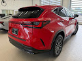 2023 Lexus NX 250 Base